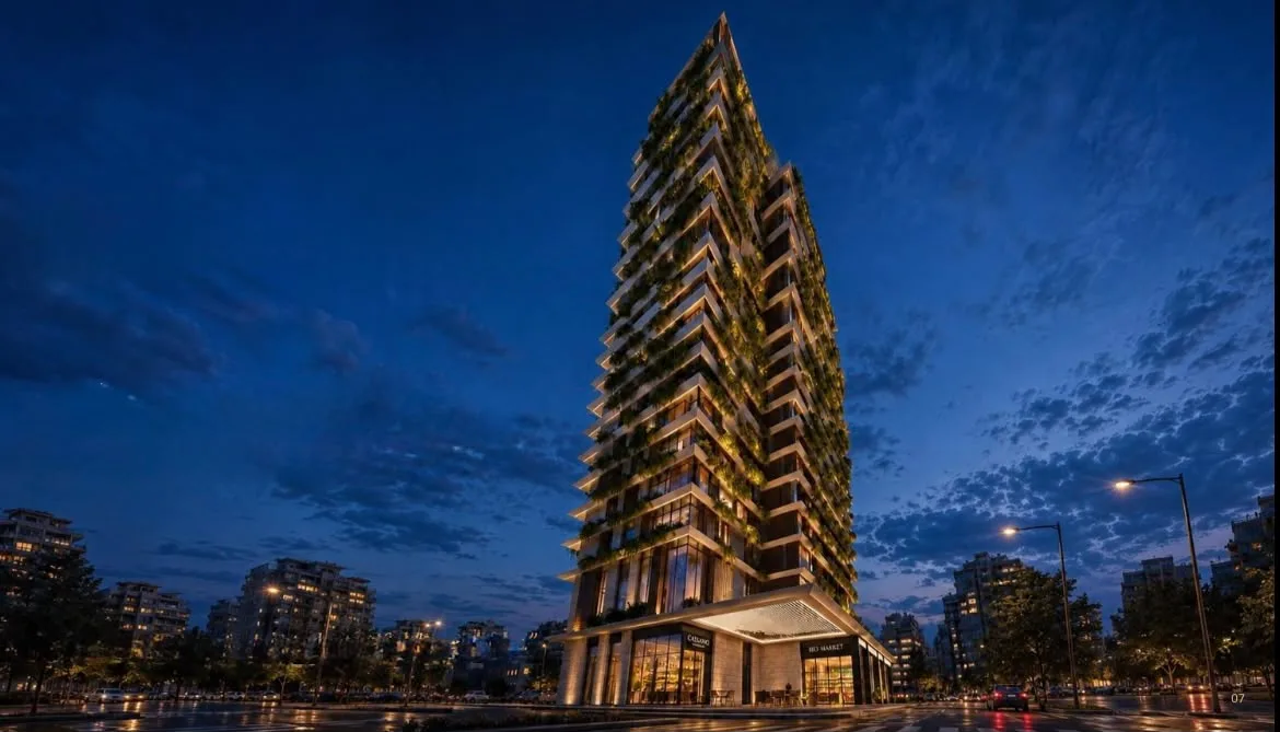 Project in Minit El Hosson