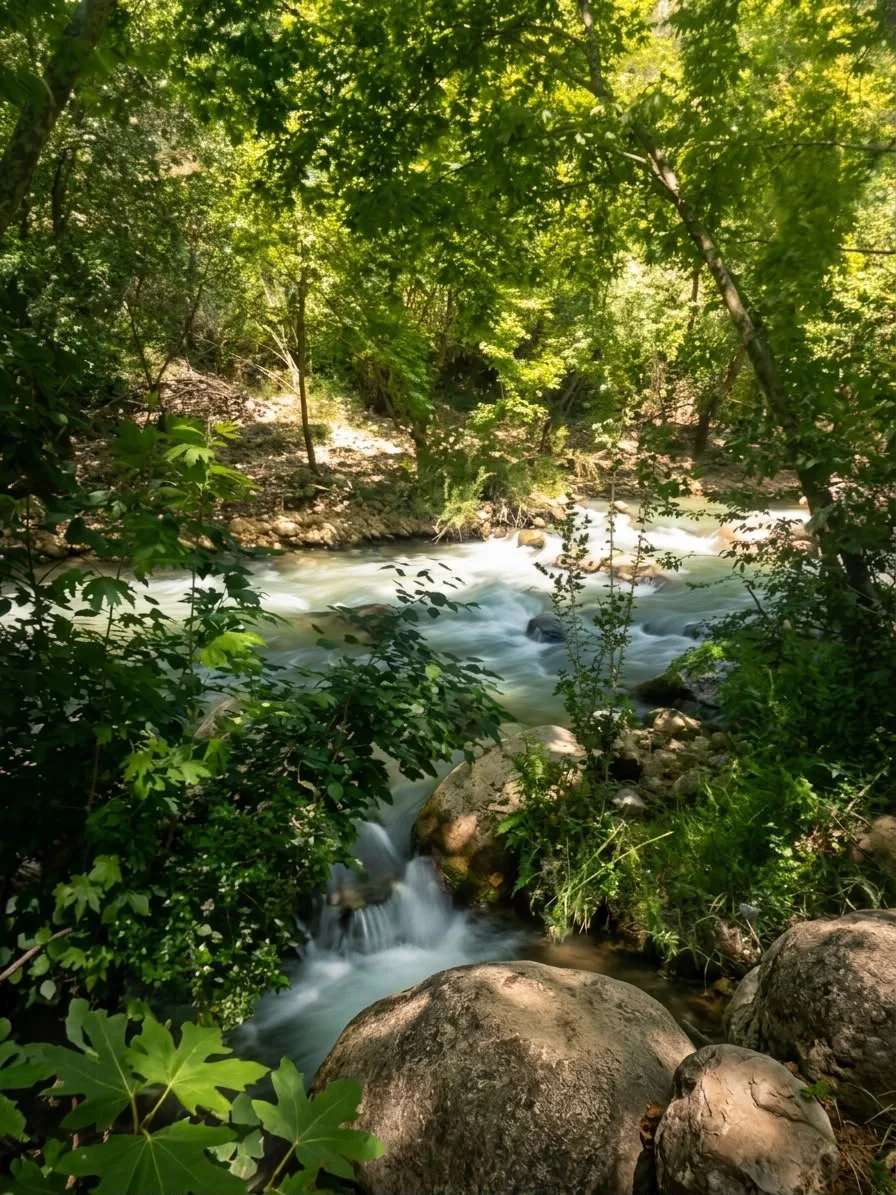 Land In Chouf