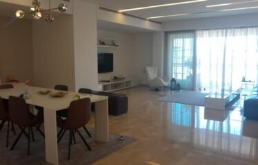 Amazing apartment in dbayeh