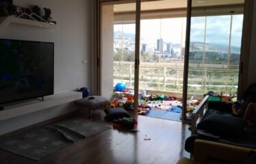 Amazing apartment in dbayeh