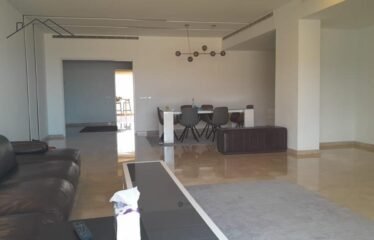 Amazing apartment in dbayeh