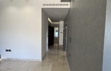 Very unique and luxury apartment in baabda