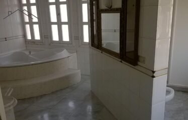 Duplex for sale and rent in aramoun