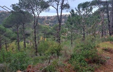 Land for sale in dhour al choueir