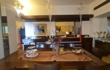 luxurious apartment in ein el tini