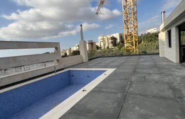 Luxurious triplex rooftop in baabda