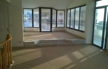 Duplex for sale and rent in aramoun