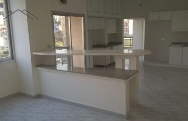 Duplex for sale and rent in aramoun