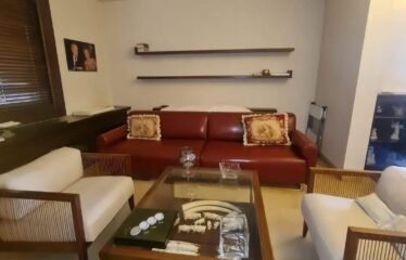 luxurious apartment in ein el tini