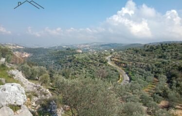 Land for sale in batroun