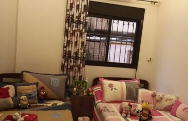 Beautiful apartment in mansourieh